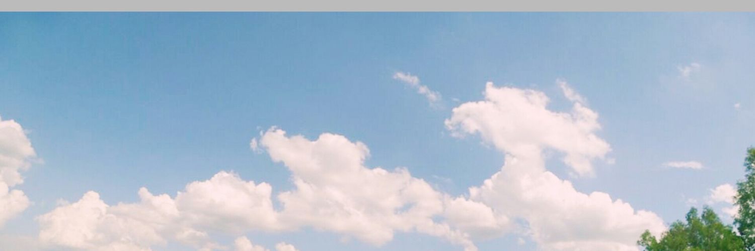 hellosunflow_'s profile banner image