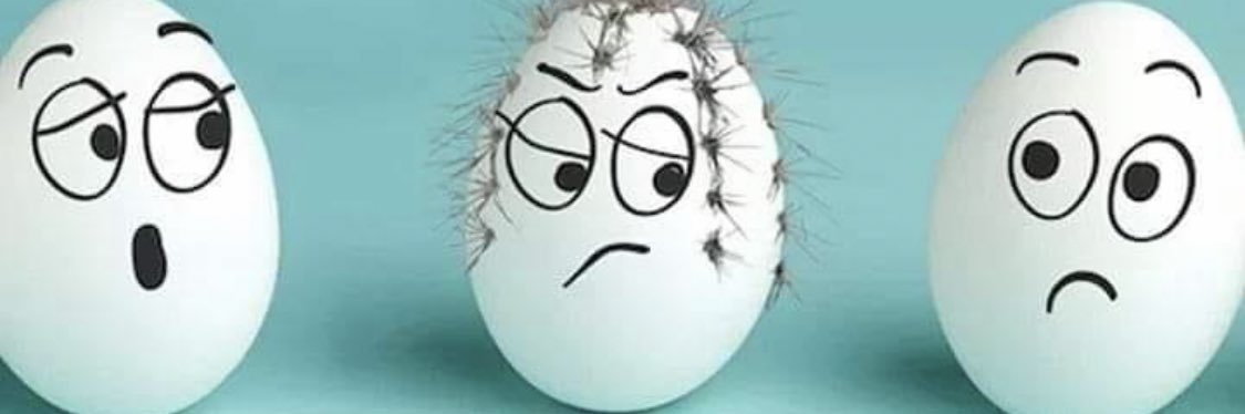 Rousse😁🇮🇱🇲🇽🇸🇻🇺🇸🙏 banner