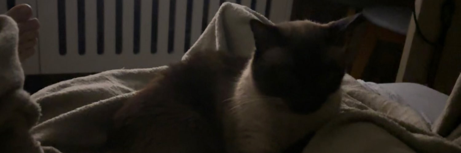 vhsstark's profile banner image