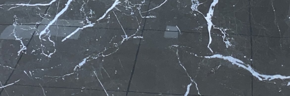 bloomfitch's profile banner image