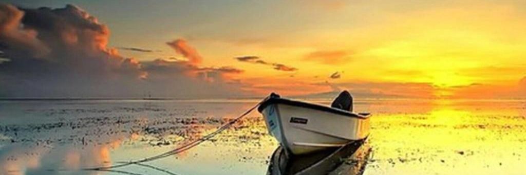 🔻❤️🇵🇸 ميدار banner