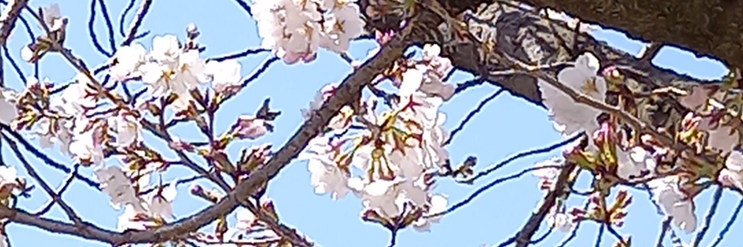 garagarabaa's profile banner image