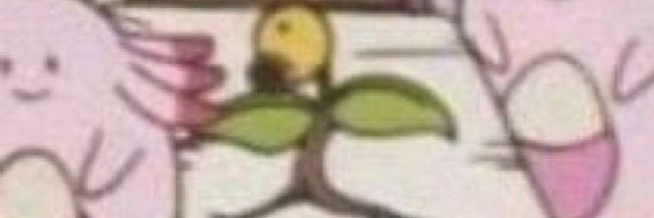 evev banner