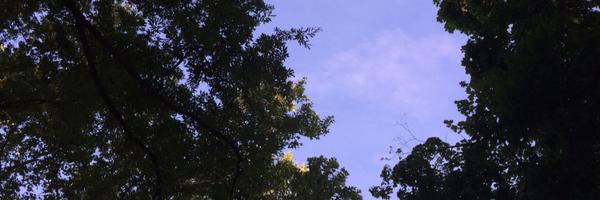 _notgreatbob Profile Banner