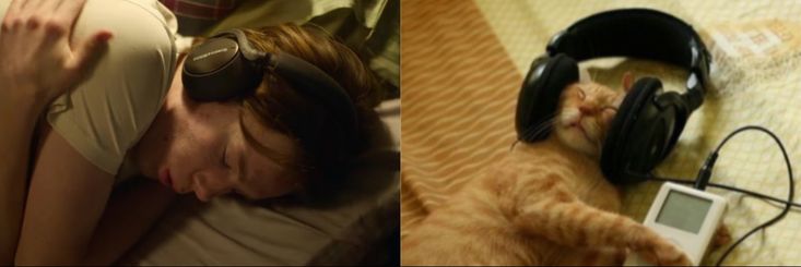 𝑹𝒚𝒖 🦈🪭⦿ ☰ ☲ banner