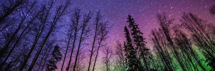 starlitkay's profile banner image