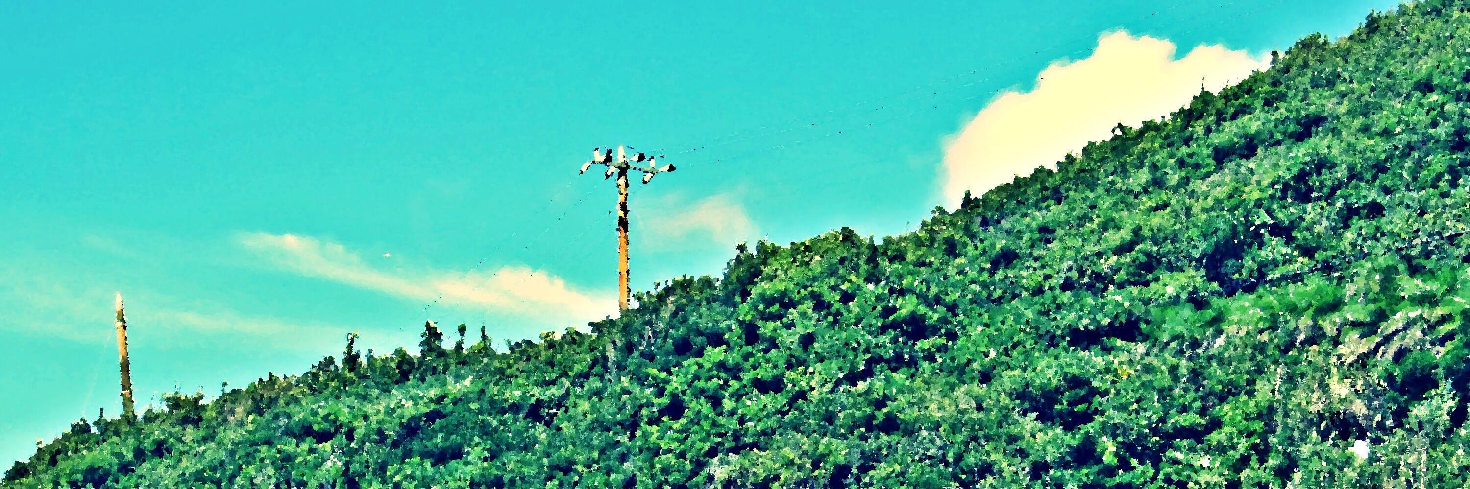f_nisihara's profile banner image