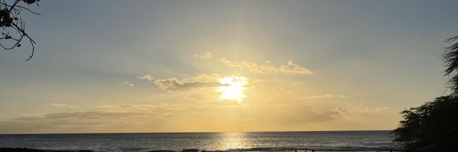 vee_p10's profile banner image