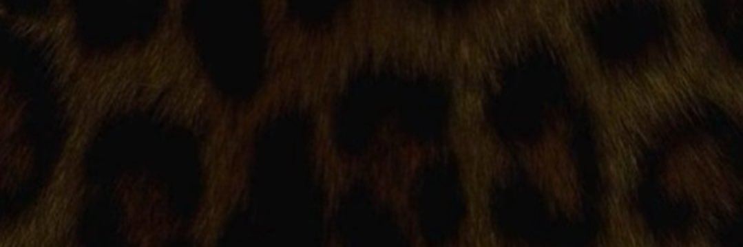 hazesmomm's profile banner image