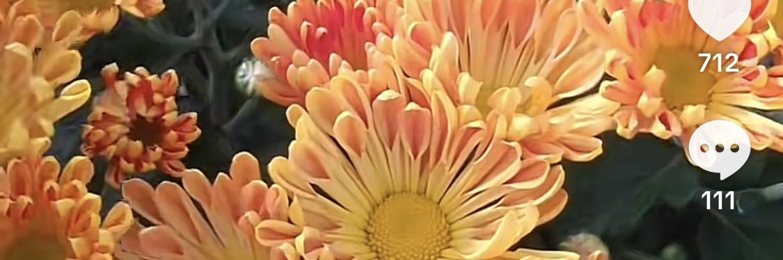 Phmnhi01262015's profile banner image