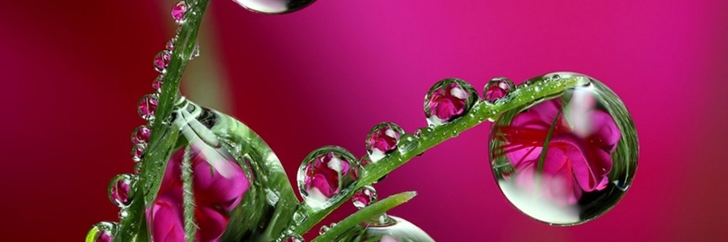 safd2010's profile banner image