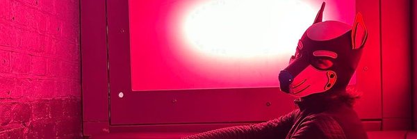 K9Quest Profile Banner