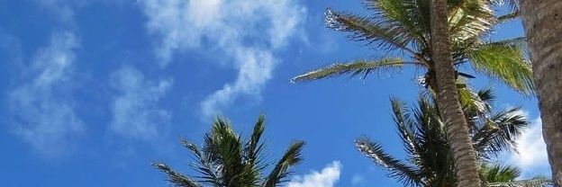 zedapietri's profile banner image