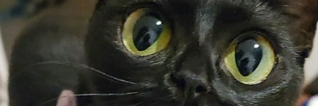germanf_e's profile banner image