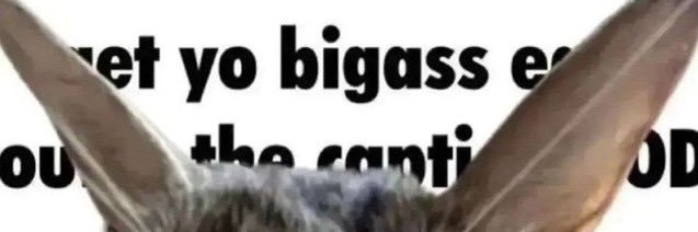 egggator's profile banner image