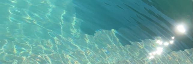 VaniDrach's profile banner image