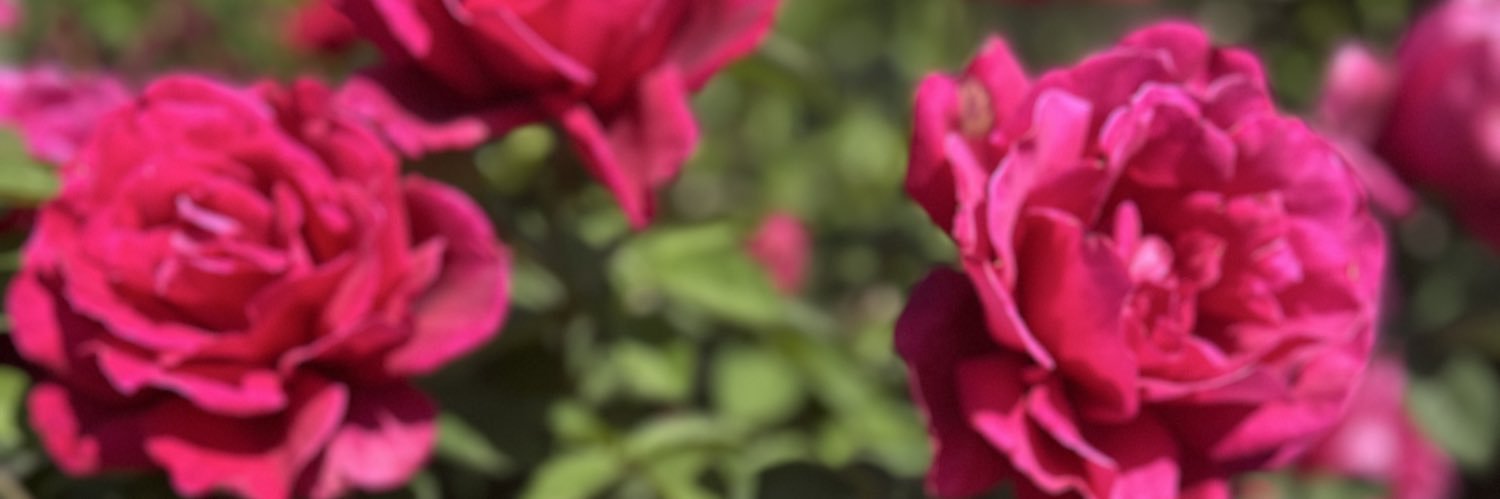 LarKyin's profile banner image
