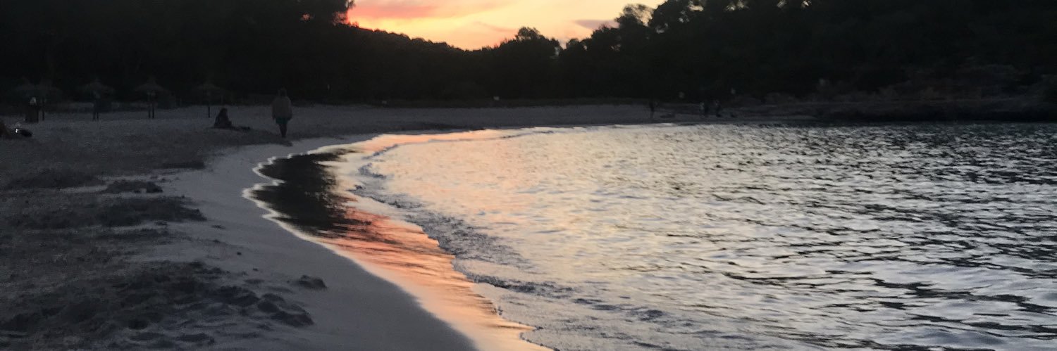 RogerCalderonS1's profile banner image