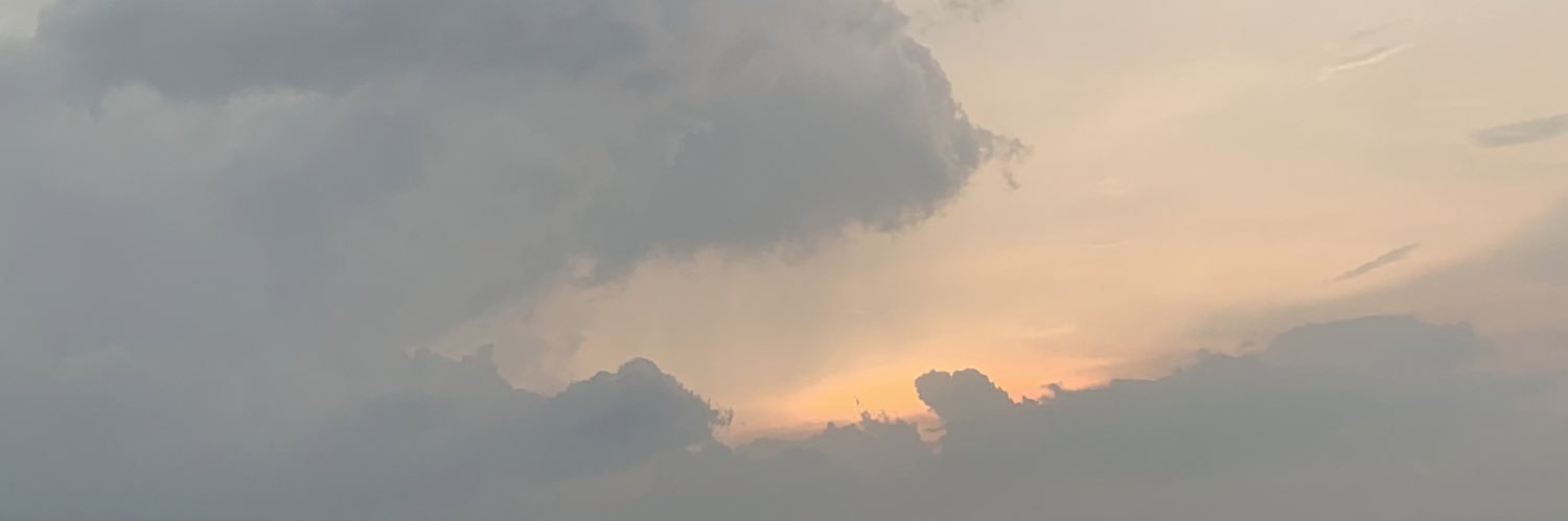 tinaalianaa's profile banner image