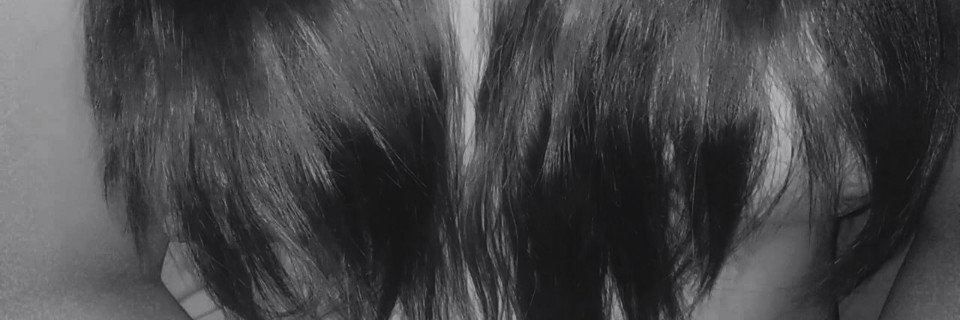 cand_rosse's profile banner image