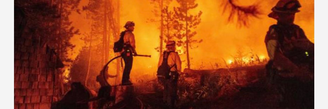 Derek Longoria banner