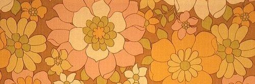 lexi📻 banner