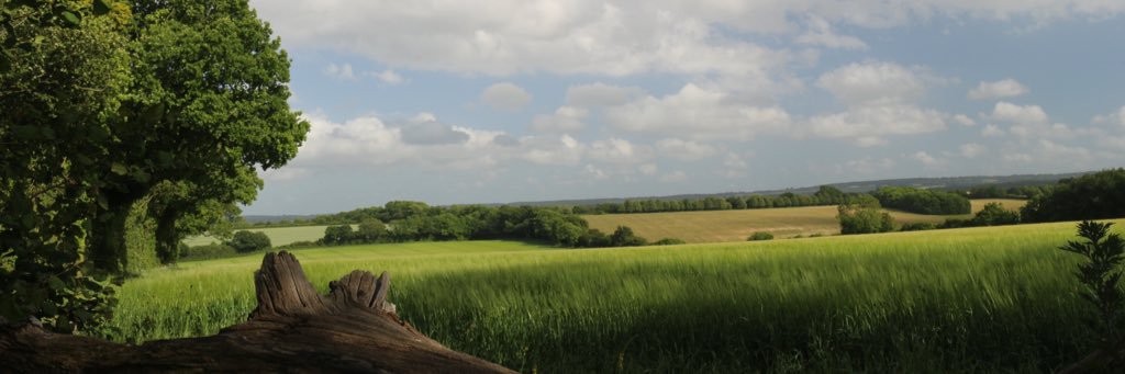 mrsfizzix's profile banner image
