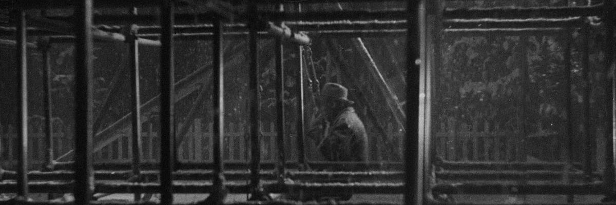 darkogav's profile banner image