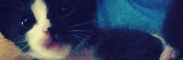 Gaby_Gbs's profile banner image