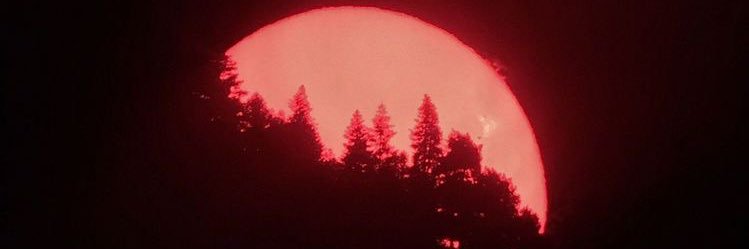 lrmz19's profile banner image