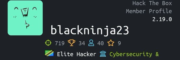 blackninja233 Profile Banner