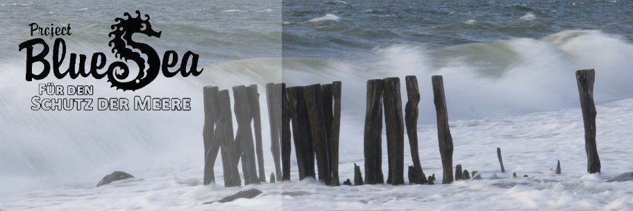 Project Blue Sea e.V. banner