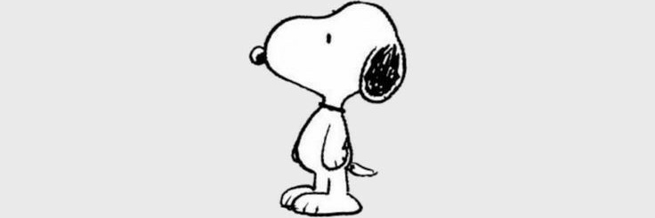 snoo_93's profile banner image