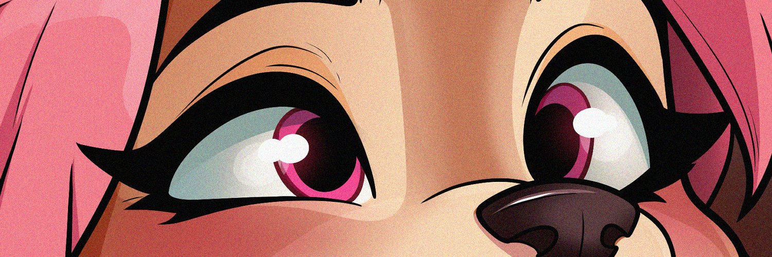 anilfan_pro's profile banner image