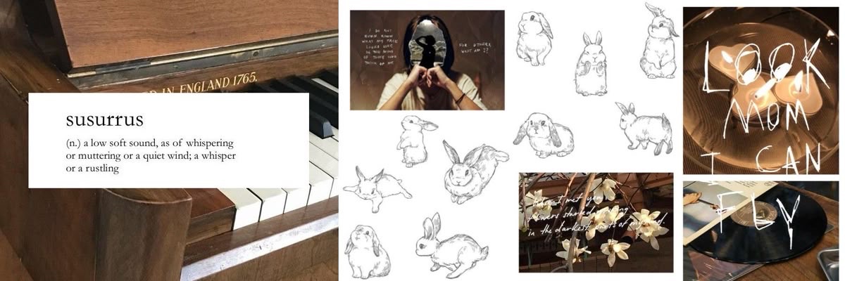 fleotilla's profile banner image