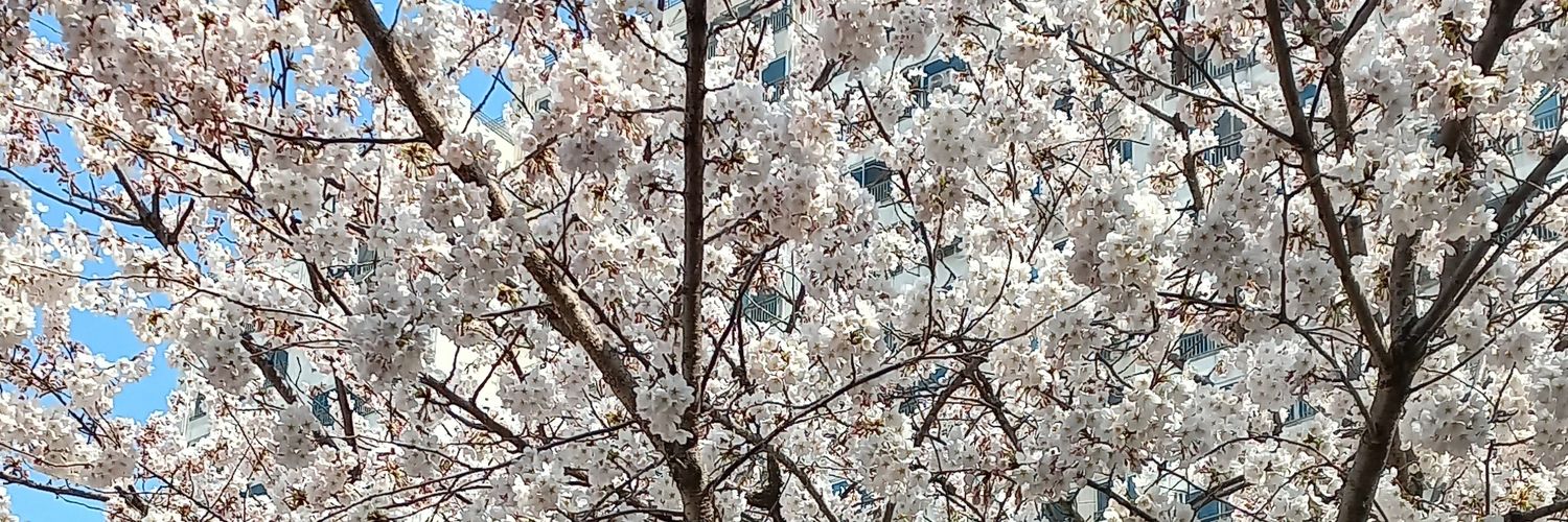 imsangduck's profile banner image