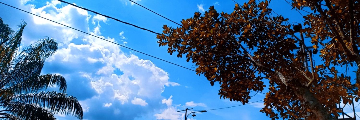 efbi_my's profile banner image