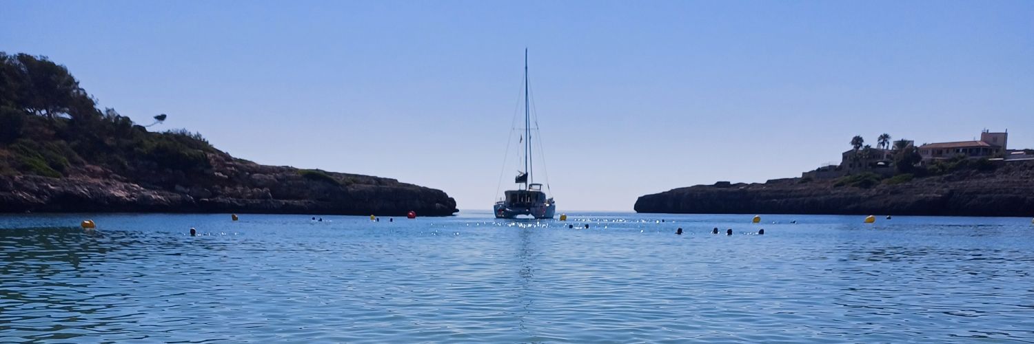 Alessandro Frassi banner