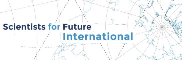 S4F International banner
