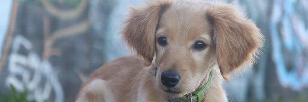 JohnBT61 Profile Banner