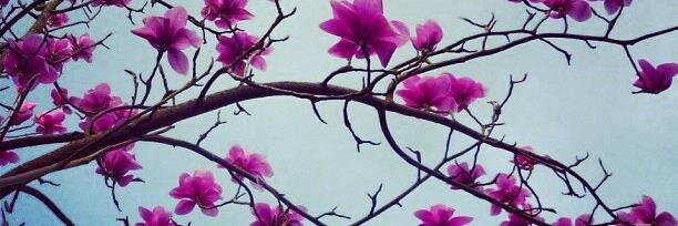 LQuicke's profile banner image