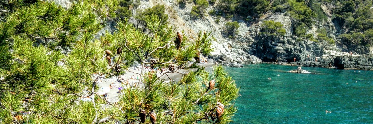 Jairo Vadillo banner