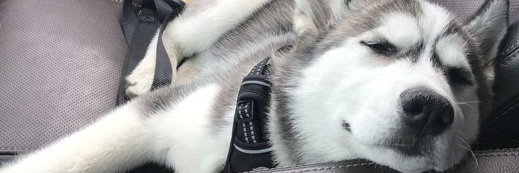 miaverissimo_'s profile banner image