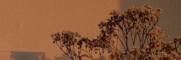 postcardsivan's profile banner image