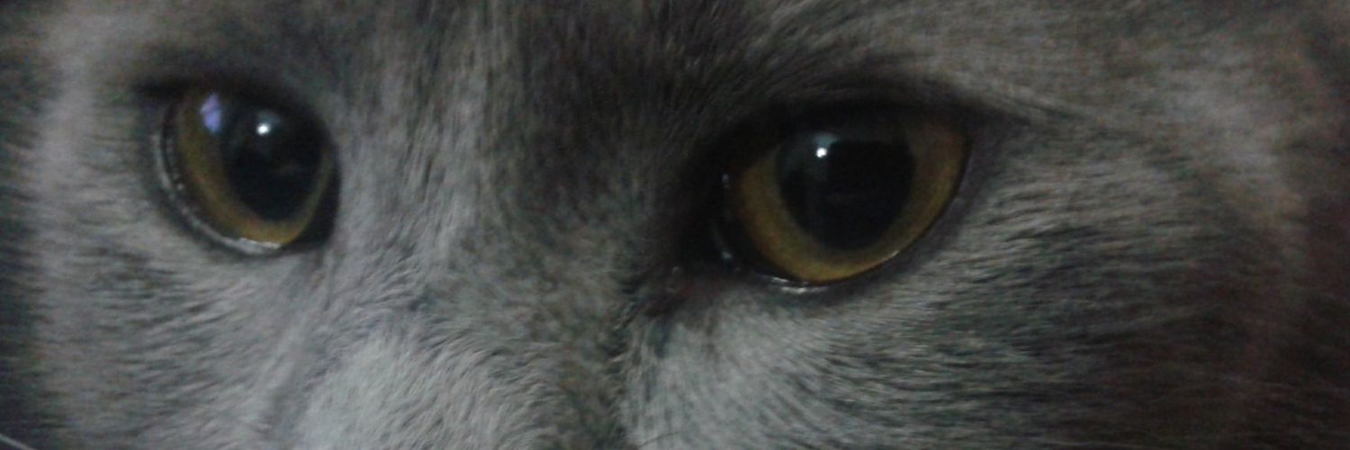 Natygr89's profile banner image