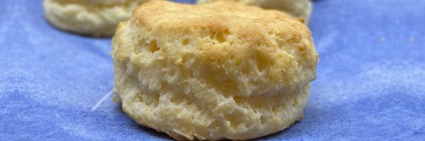 GFreeBiscuits Profile Banner