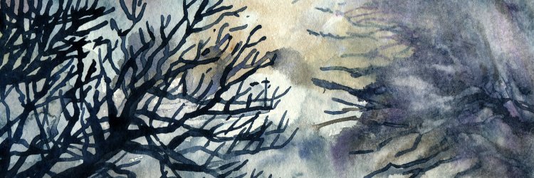 softrevolution_'s profile banner image