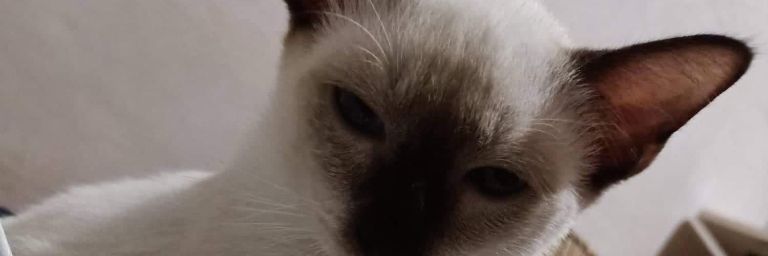 _Jaooooo's profile banner image