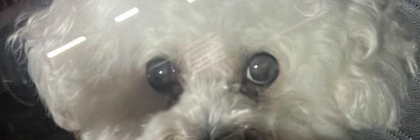 TheFrenzyMan Profile Banner