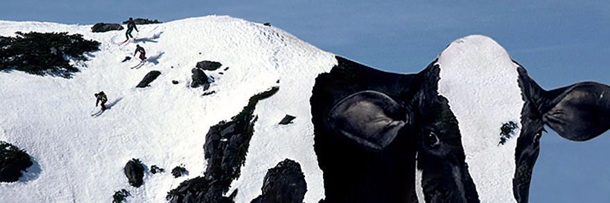 thisisnoterin's profile banner image